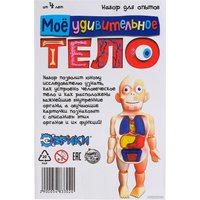 Набор для опытов Эврики Мое удивительное тело 5483302