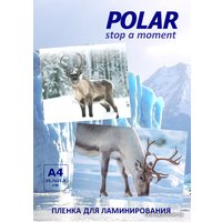 Пленка для ламинирования Polar А4PLM08025 матовая А4, 80 мкм, 25 л