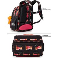 Школьный рюкзак SkyName R1-064 + брелок мишка