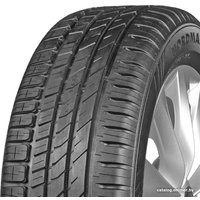 Летние шины Ikon Nordman SX3 195/55R16 91H