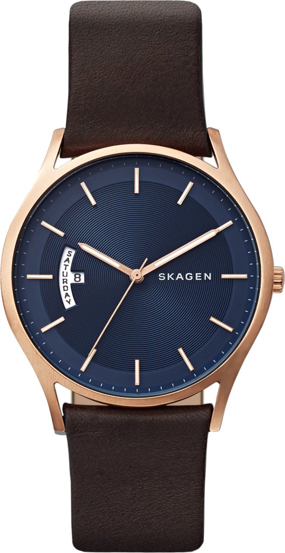 

Наручные часы Skagen SKW6395