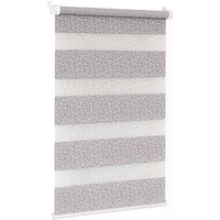 Рулонные шторы Delfa Сантайм День-Ночь Декор МКД DN-45020 (52x160, белый/серебристый)