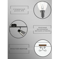 Припотолочная люстра Aitin Pro НПБ 02-3x40-102 1434/3 (черный/хром)