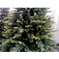 Ель GreenTerra Кашемир 2.2 м