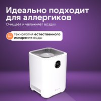 Увлажнитель воздуха Evolution HF-577 Smart + набор кружек Makkua Cup Cozyday MC270