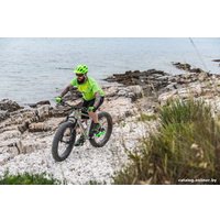 Велосипед Cube Nutrail Pro (2016)