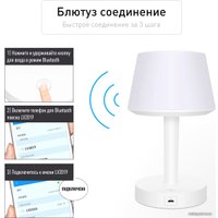 Беспроводная колонка Evolution LV2019