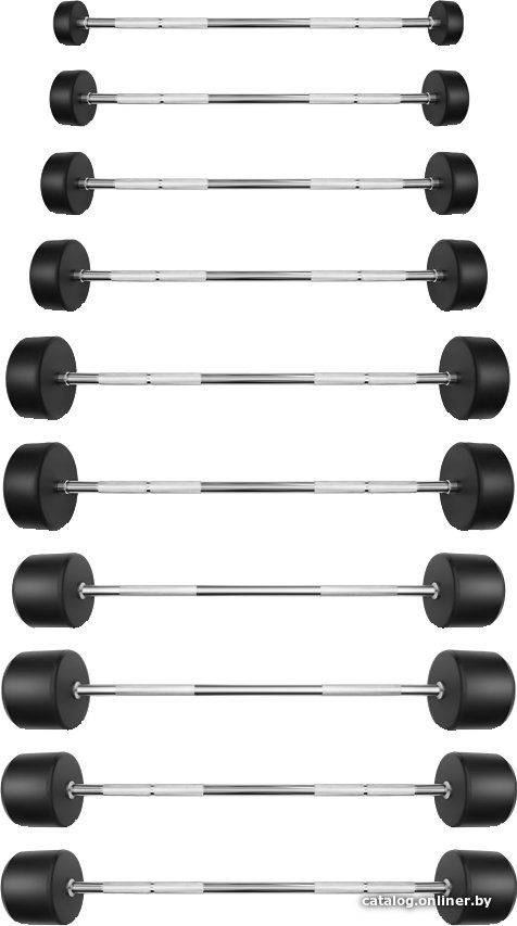 Ряд из штанг Bronze Gym BG-PA-BB-S10-55 10x(10-55 кг)