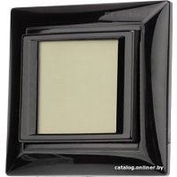 Терморегулятор Rexant RX-419B 51-0818 (черный)