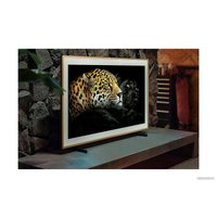 Телевизор Samsung The Frame LS03B QE43LS03BGUXXU