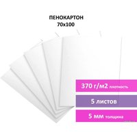 Пенокартон BRAUBERG матовая 70x100 370 г/м2 5 л 112475
