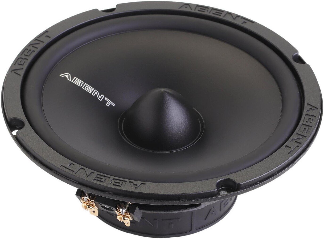

Компонентная АС Abent ASR-16S