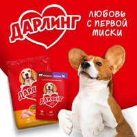 Сухой корм для собак Дарлинг с мясом и овощами 15 кг