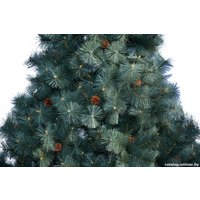 Сосна Merry Bear Келли пушистая с шишками PB2 210 2.1 м