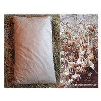 Подушка для бани Астрадом Из лугового сена с ромашкой (60x40x8)