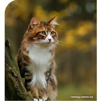 Сухой корм для кошек Spectrum Low Grain Sterilised Adult with Salmon, Anchovy & Cranberry (для стерилизованных с лососем, анчоусом и клюквой) 12 кг в Гродно