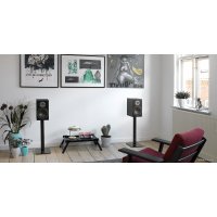 Полочная акустика DALI Oberon 3 Black Ash