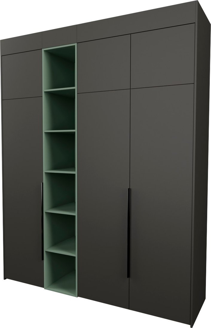 

Шкаф распашной Рэйгрупп Рэй S245-В8-2-WKZ В8-2 (дуб веллингтон/кобальт/зеленый самшит)