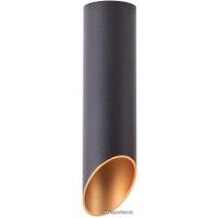 Светильник Arte Lamp Pilon-Gold A1535PL-1BK