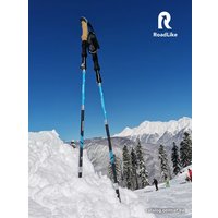 Палки для скандинавской ходьбы RoadLike Compact 368219 (зеленый)
