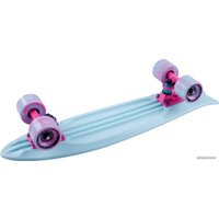 Пенниборд Tech Team Fishboard 23" 2021 (голубой)