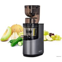 Соковыжималка Biochef Atlas Pro Whole Slow Juicer DCWA400 (серебристый)
