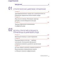 Книга издательства Альпина Диджитал. Команда рулит. Управление изменениями в цифровой среде (Набок О.)