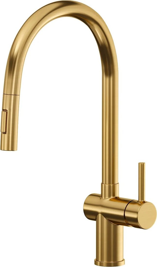 

Смеситель Reflexion Lago RX9904GD