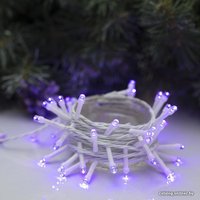 Новогодняя гирлянда Luazon Нить 50 LED 5м (фиолетовый) 3556775