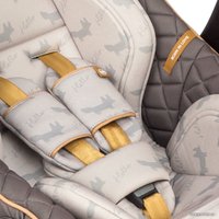 Детское автокресло Happy Baby Skyler V2 (stone)
