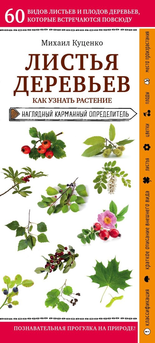 

Книга издательства Эксмо. Листья деревьев. Как узнать растение (Куценко Михаил Евгеньевич)