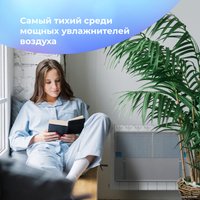 Увлажнитель воздуха на батарею Breeeth! Natural Fun (серый) в Бобруйске