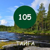 Краска Maxima 2.5 кг (№105 тайга)