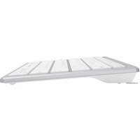 Клавиатура A4Tech Fstyler FX51 (серебристый/белый)