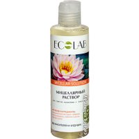  Ecolab Раствор мицелярный для снятия макияжа с лица и глаз (200 мл)