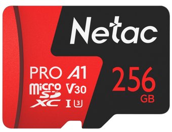 256GB 500 Extreme Pro NT02P500PRO-256G-R (с адаптером)