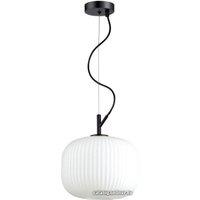 Подвесная люстра Odeon Light Roofi 4753/1