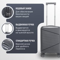 Чемодан-спиннер DoubleW Nexo (S, графитовый)