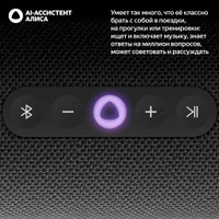 Умная колонка Яндекс Станция Стрит (черный)