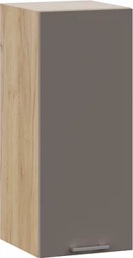 

Шкаф навесной Трия Габриэлла 1ВВ3 с одной дверью (дуб крафт золотой/муссон)