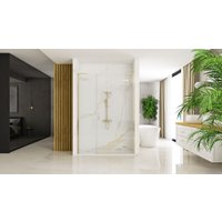 Душевая дверь Rea Hugo 100 (золотой/прозрачное стекло)