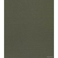 Штора Legrand Канвас 2x2.8 м 58118731 (хаки)