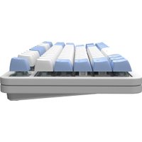 Клавиатура Red Square Alumix TKL SE Cloudy (g3ms Sapphire)