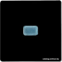 Выключатель ABB Basic 55 1012-0-2175 (шато-черный) в Могилеве