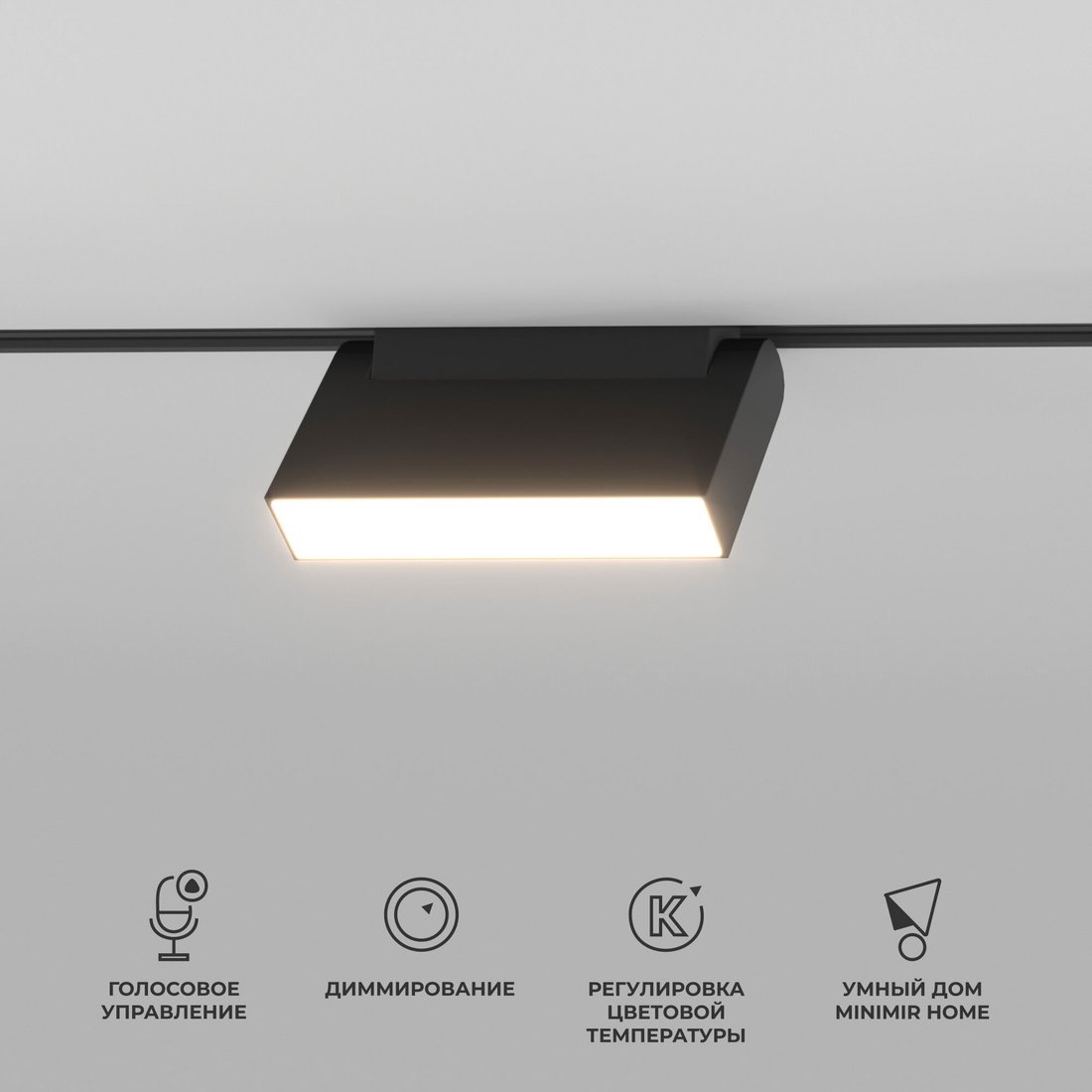

Трековый светильник Elektrostandard Dim Kos 85081/01 (черный)