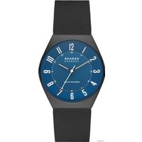 Наручные часы Skagen Grenen SKW6837