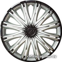Набор колпаков на диски АКС – авто Скай+ 14 49620 (серебристый/черный)