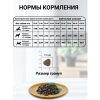 Сухой корм для собак Natural Greatness Salmon Recipe 10 кг