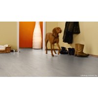 Ламинат Kronotex Amazone Дуб Таймлесс Бежевый (D3597)