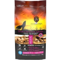 Сухой корм для собак Ambrosia Grain Free (для щенков крупных пород курица и лосось) 2 кг